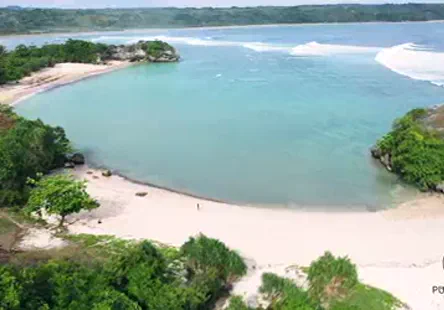 Bébé et sa colocataire.