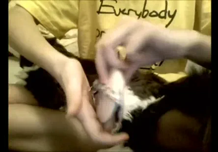 Un garçon à grosse bite joue avec sa bite.